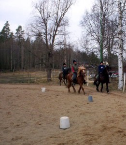 På ridpaddocken